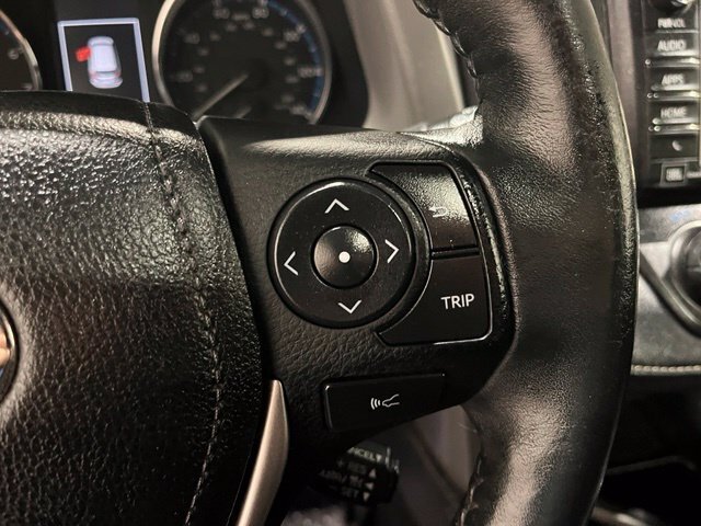 
								2017 Toyota RAV4 Platinum full									