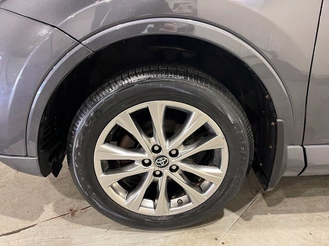 
								2017 Toyota RAV4 Platinum full									